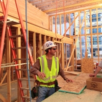 CIMG1911 (Large).JPG