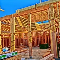 CIMG1917 (Large).JPG