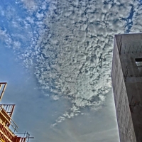 CIMG2169 (Medium).JPG