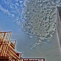 CIMG2170 (Medium).JPG