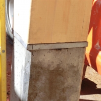 CIMG2201 (Large).JPG