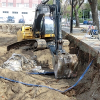 CIMG7990 (Medium).JPG