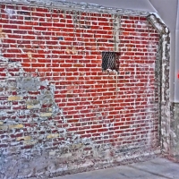 CIMG8304 (Large).JPG