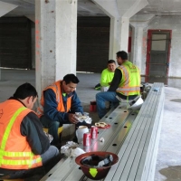 CIMG8313 (Small).JPG