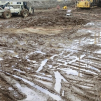 CIMG8321 (Medium).JPG