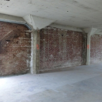 CIMG8344 (Large).JPG