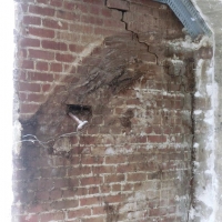 CIMG8346 (Large).JPG