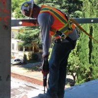 CIMG8772 (Medium).JPG