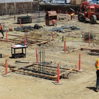 CIMG8801 (Medium).JPG