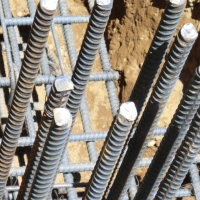 CIMG8802 (Medium).JPG