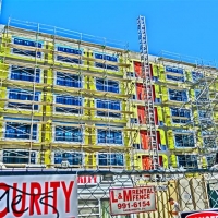 CIMG9124 (Small).JPG