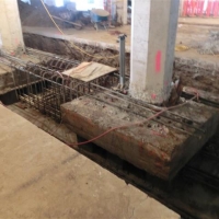 CIMG9131 (Small).JPG