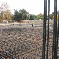 IMG_3699 (Small).JPG