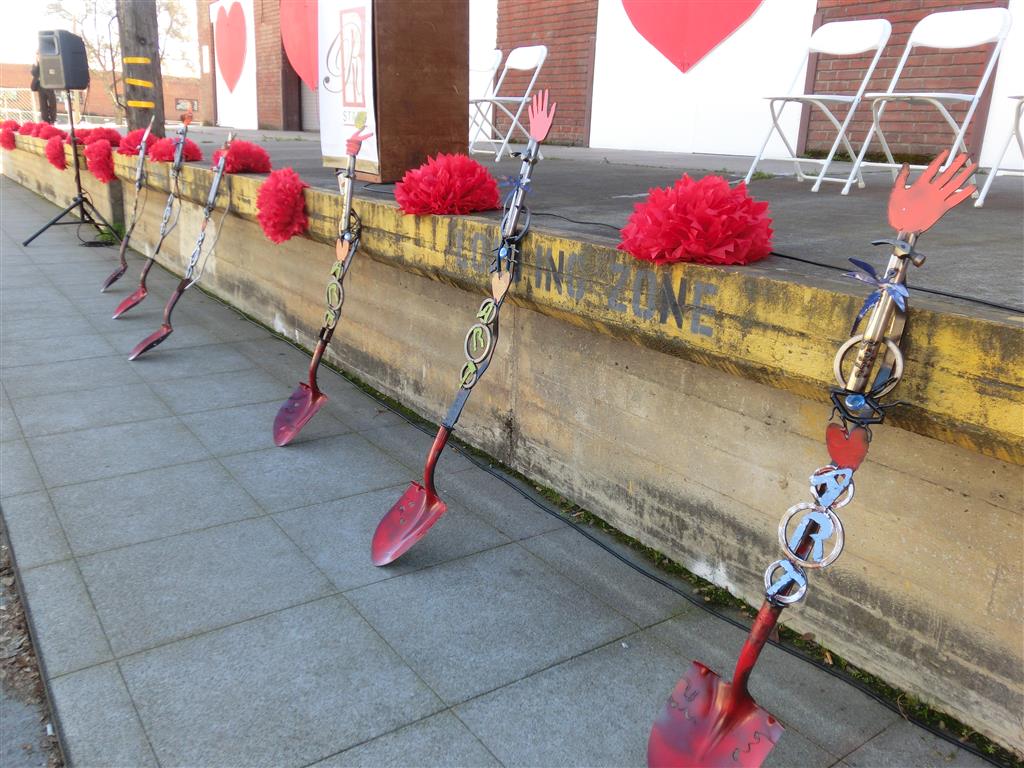 CIMG7754 (Medium).JPG