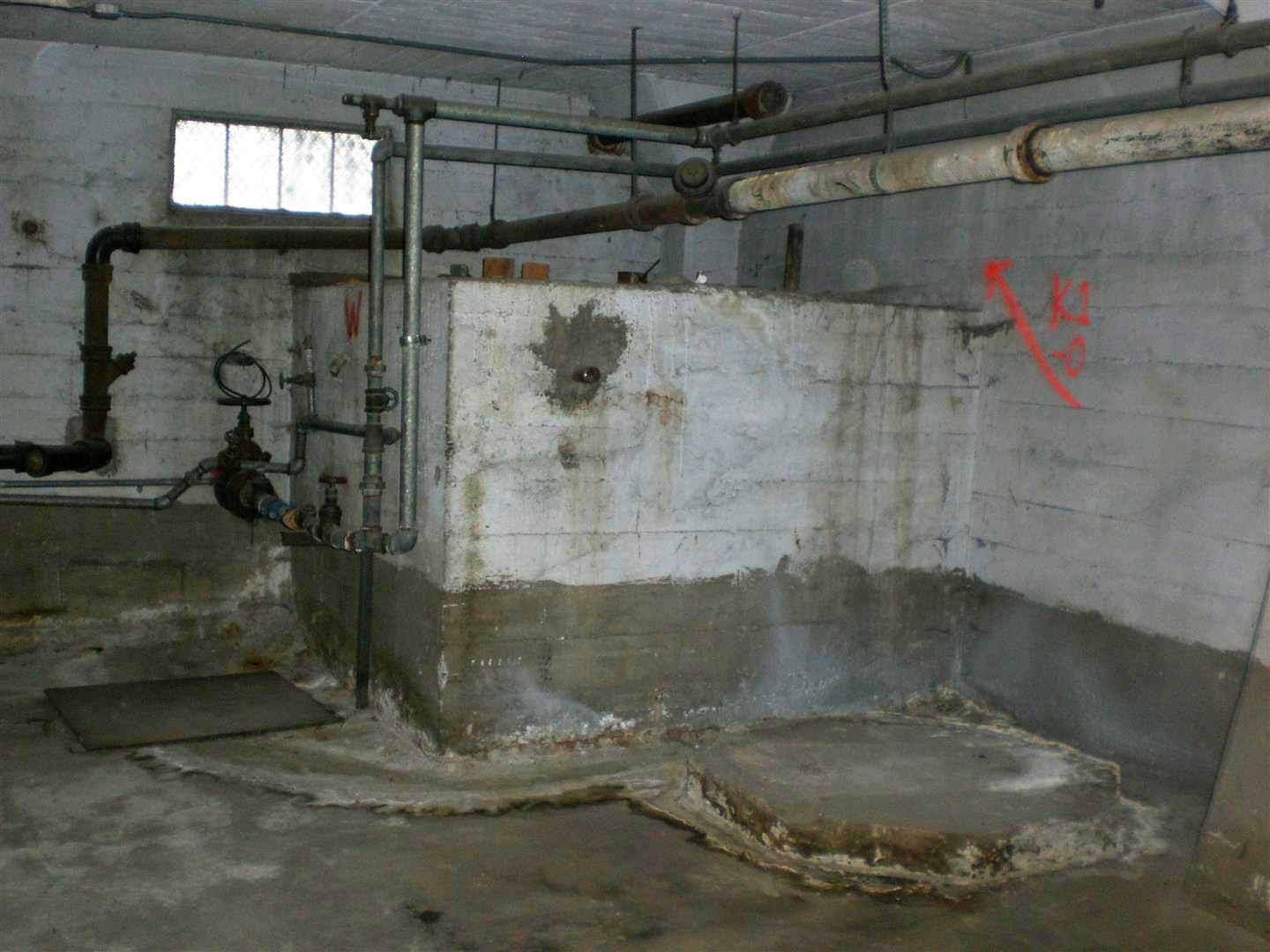 CIMG3438 (Large).JPG