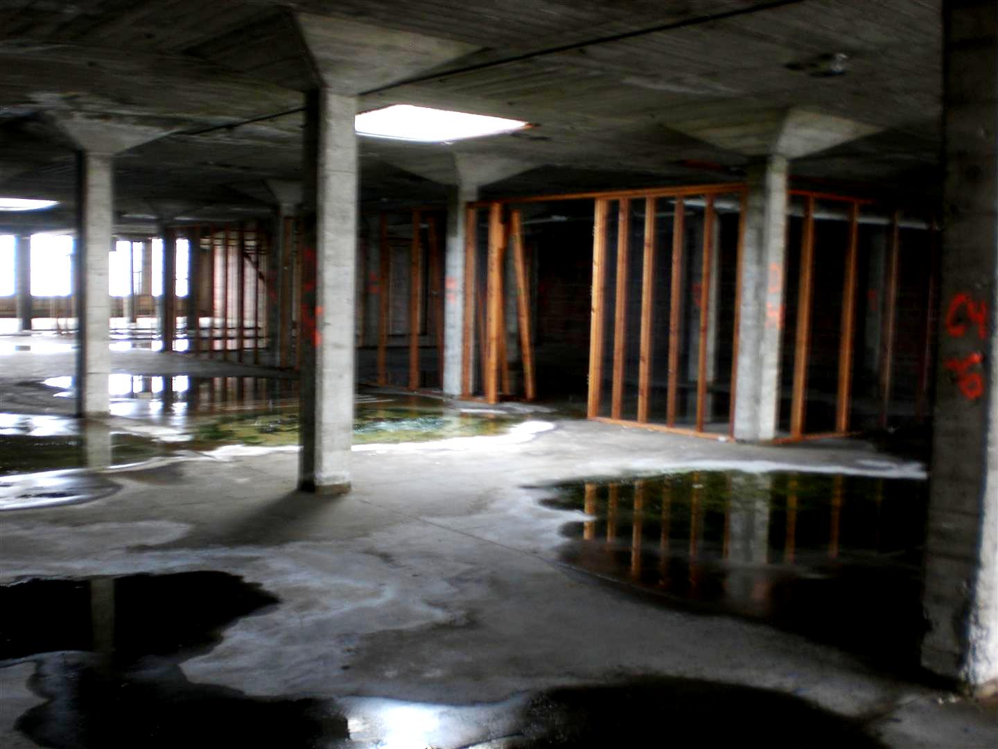 CIMG3490 (Large).JPG