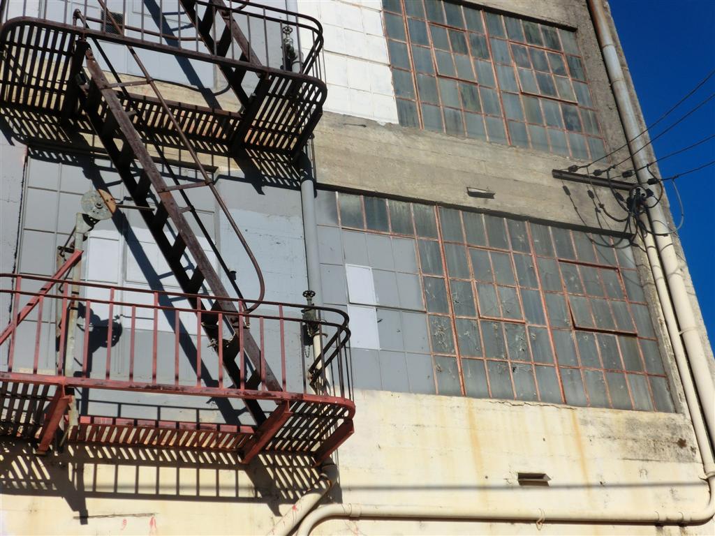 CIMG3750 (Large).JPG