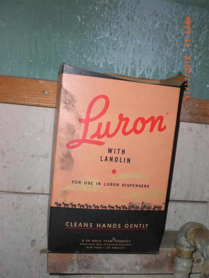 CIMG3988 (Large).JPG