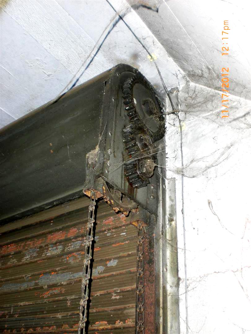 CIMG4042 (Large).JPG