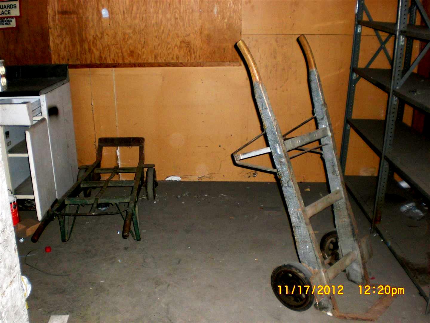 CIMG4047 (Large).JPG