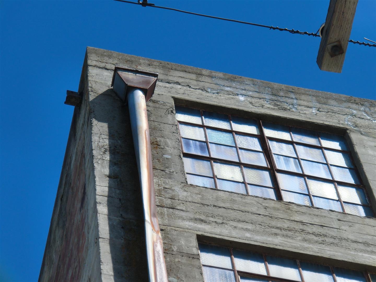 CIMG6639 (Large).JPG