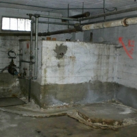 CIMG3438 (Large).JPG