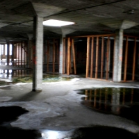 CIMG3490 (Large).JPG