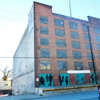 CIMG3731 (Large).JPG