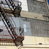 CIMG3750 (Large).JPG