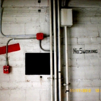 CIMG4007 (Large).JPG