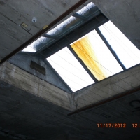 CIMG4022 (Large).JPG