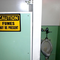 CIMG4093 (Large).JPG