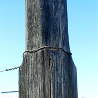 CIMG6736 (Medium).JPG