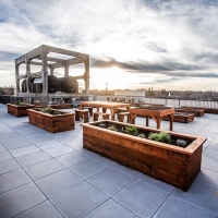 wal roof garden.jpg