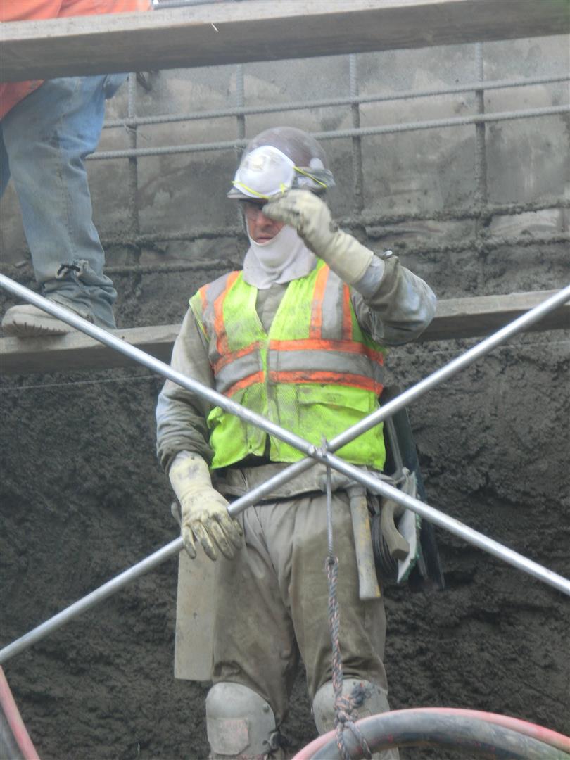 CIMG0257 (Large).JPG