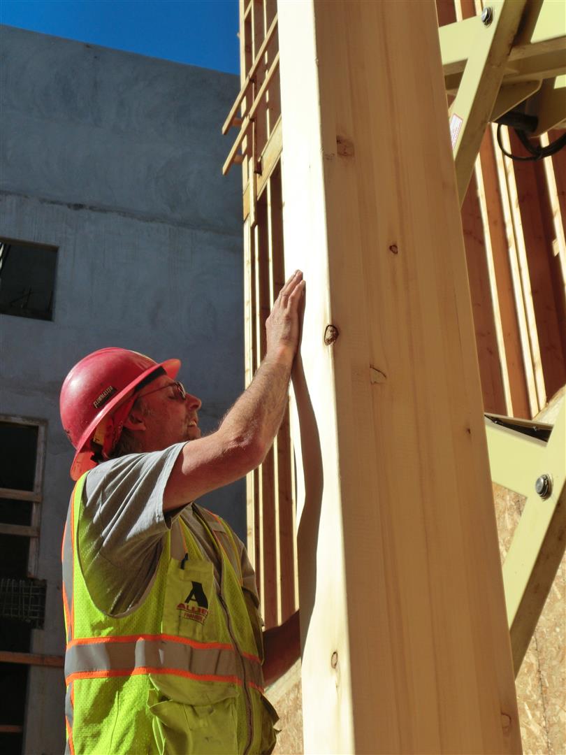 CIMG2199 (Large).JPG