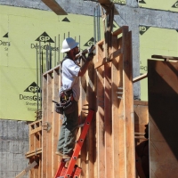 CIMG0119 (Large).JPG