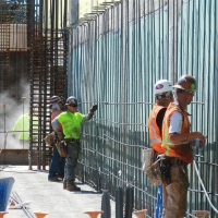 CIMG0125 (Large).JPG