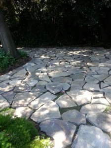 20140714_131853-Medium