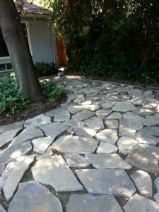 20140714_131902-Medium